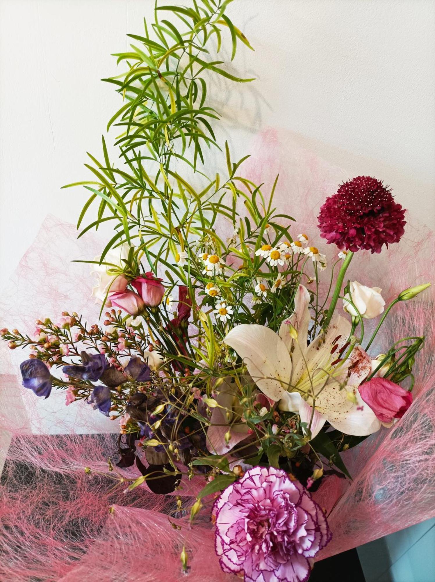 Panoramique Floral Centre Festival Photo Apartment Ла Гасили Екстериор снимка